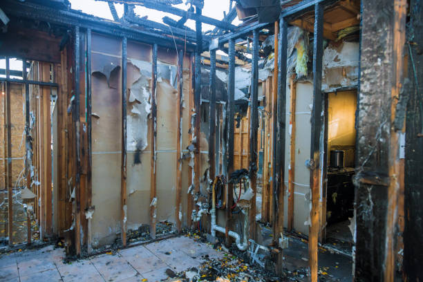 Professional Structural Rebuild technician working in Taylors Falls, MN